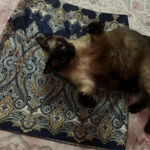 INC International Concepts Blue and Gold Pencil Skirt